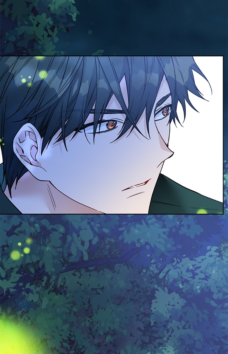 Read From a Knight to a Lady Manga Online