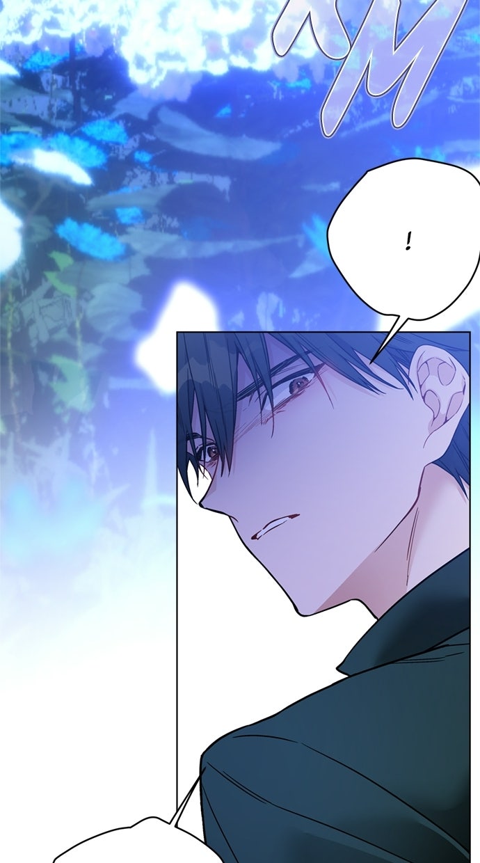 Read From a Knight to a Lady Manga Online