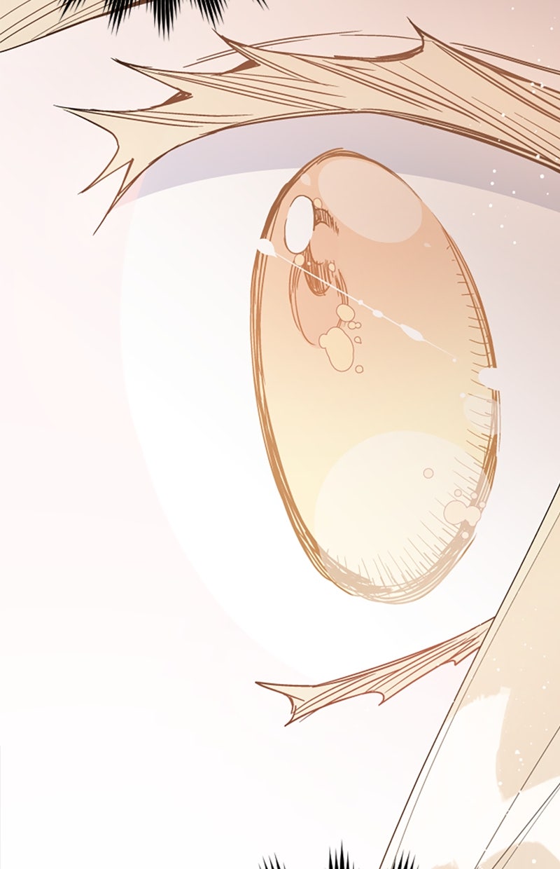Read From a Knight to a Lady Manga Online