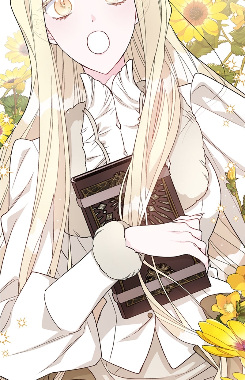 Read From a Knight to a Lady Manga Online