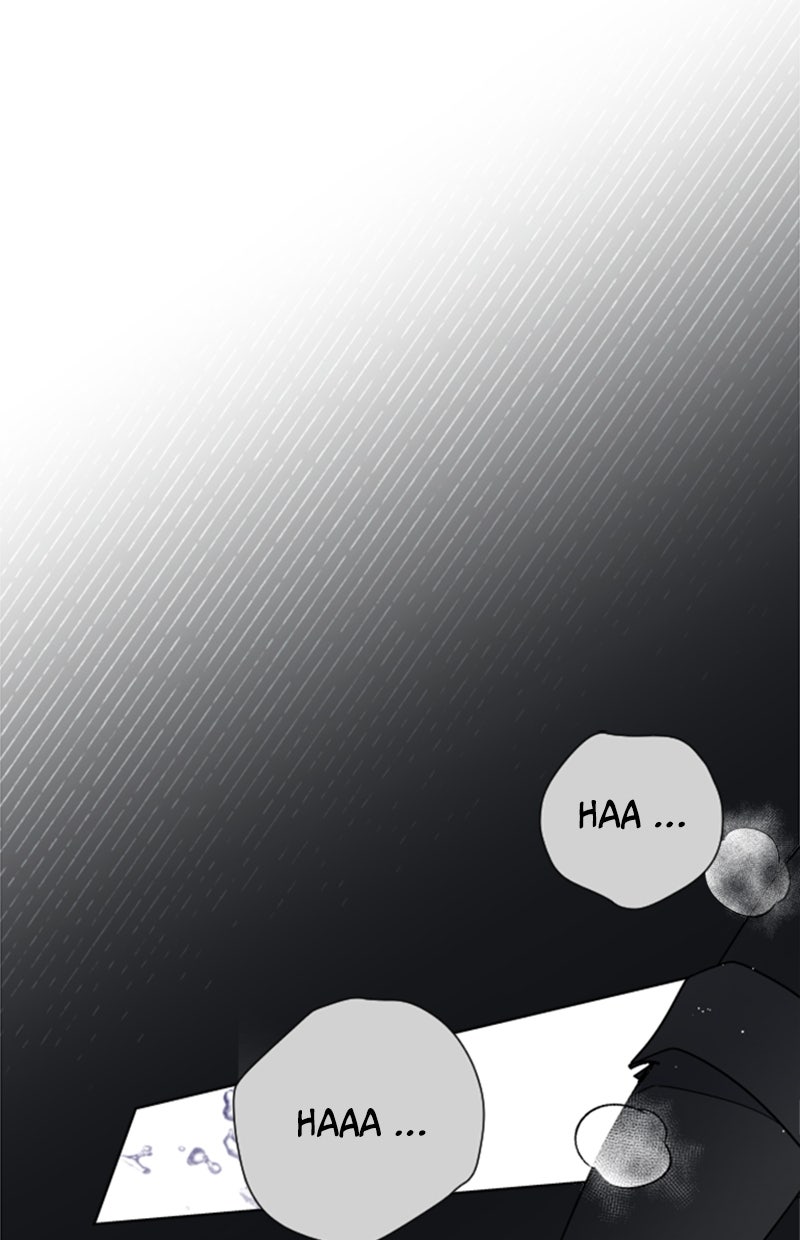 Read From a Knight to a Lady Manga Online