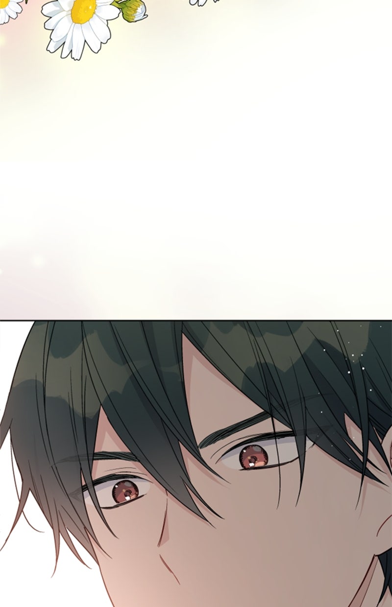 Read From a Knight to a Lady Manga Online