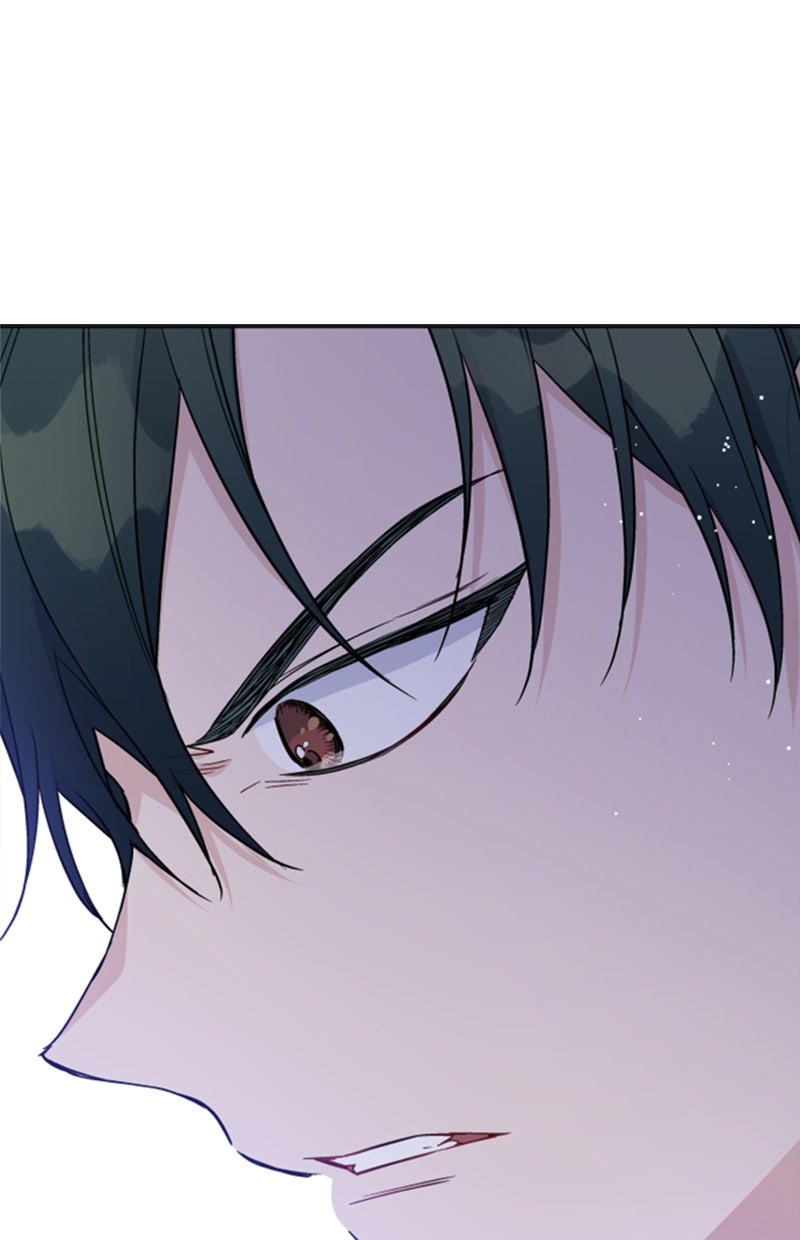 Read From a Knight to a Lady Manga Online