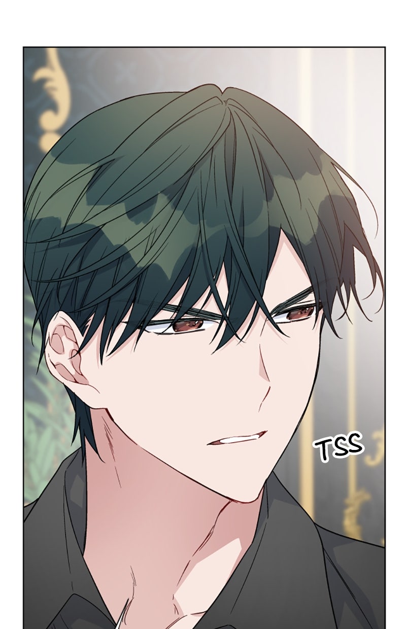 Read From a Knight to a Lady Manga Online