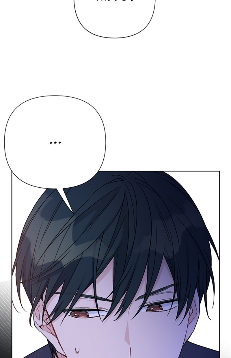 Read From a Knight to a Lady Manga Online