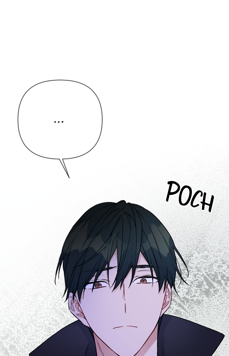 Read From a Knight to a Lady Manga Online