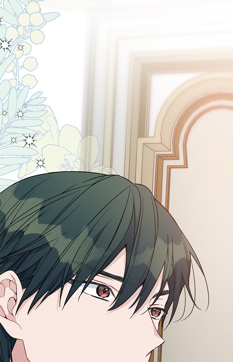 Read From a Knight to a Lady Manga Online