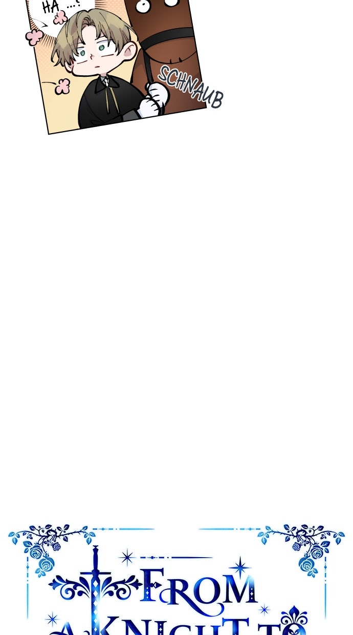 Read From a Knight to a Lady Manga Online