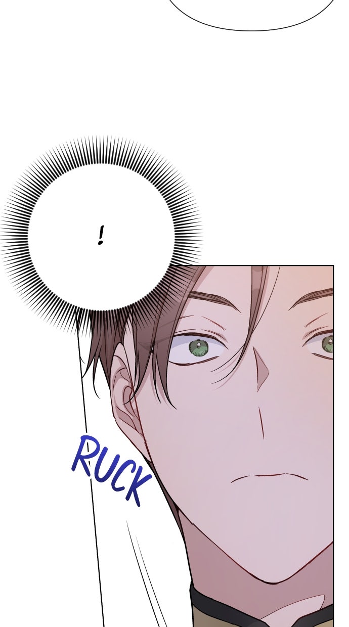 Read From a Knight to a Lady Manga Online