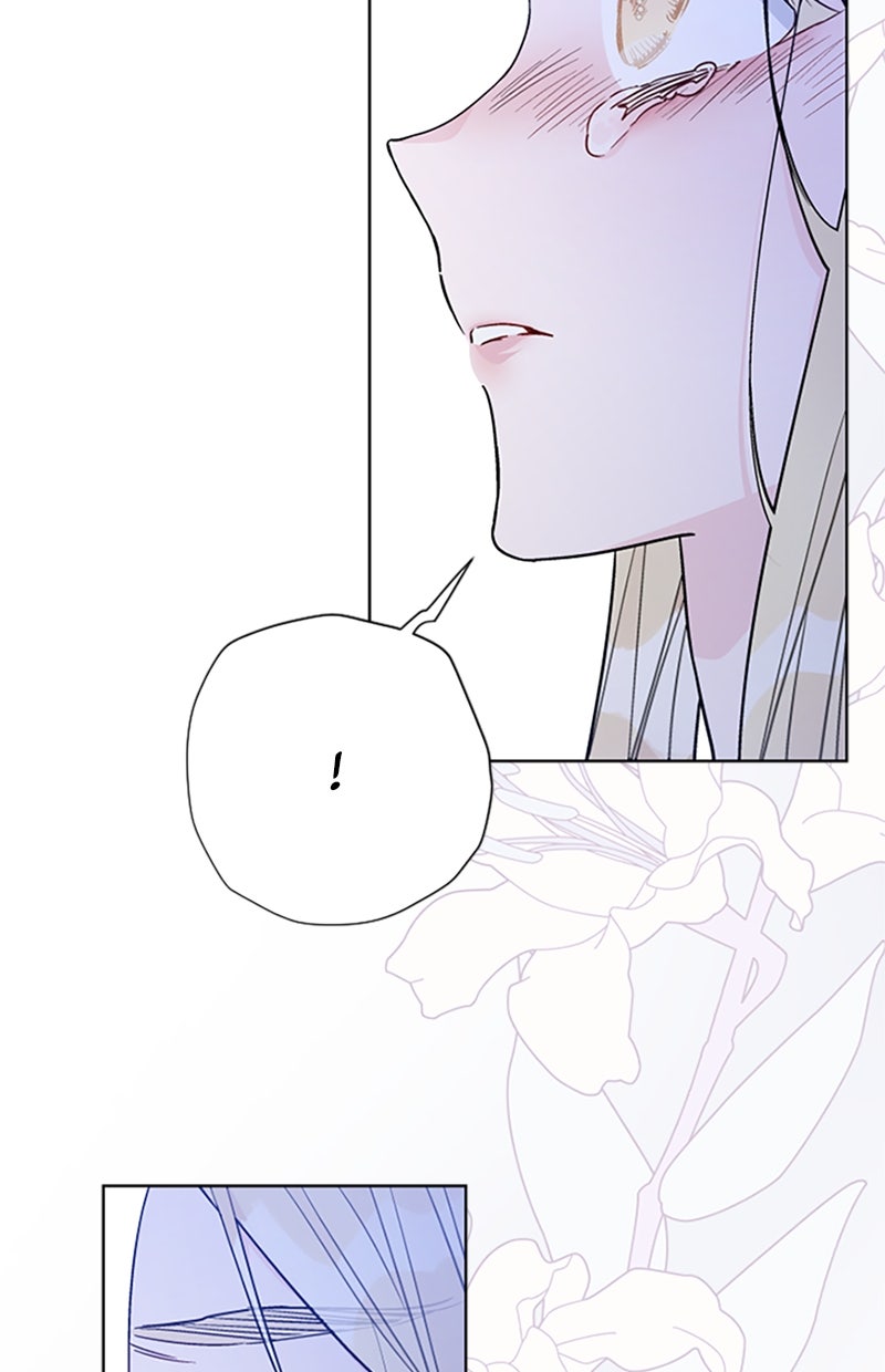 Read From a Knight to a Lady Manga Online