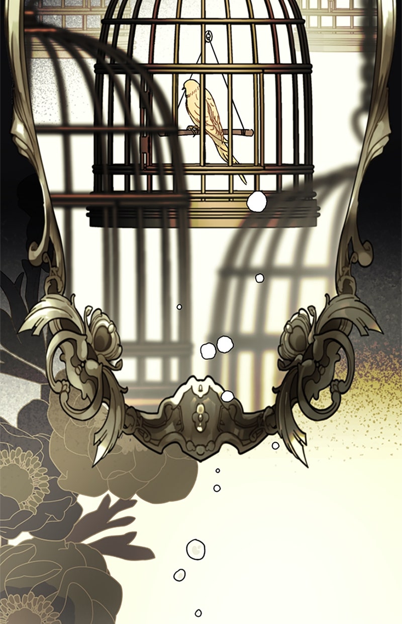 Read From a Knight to a Lady Manga Online