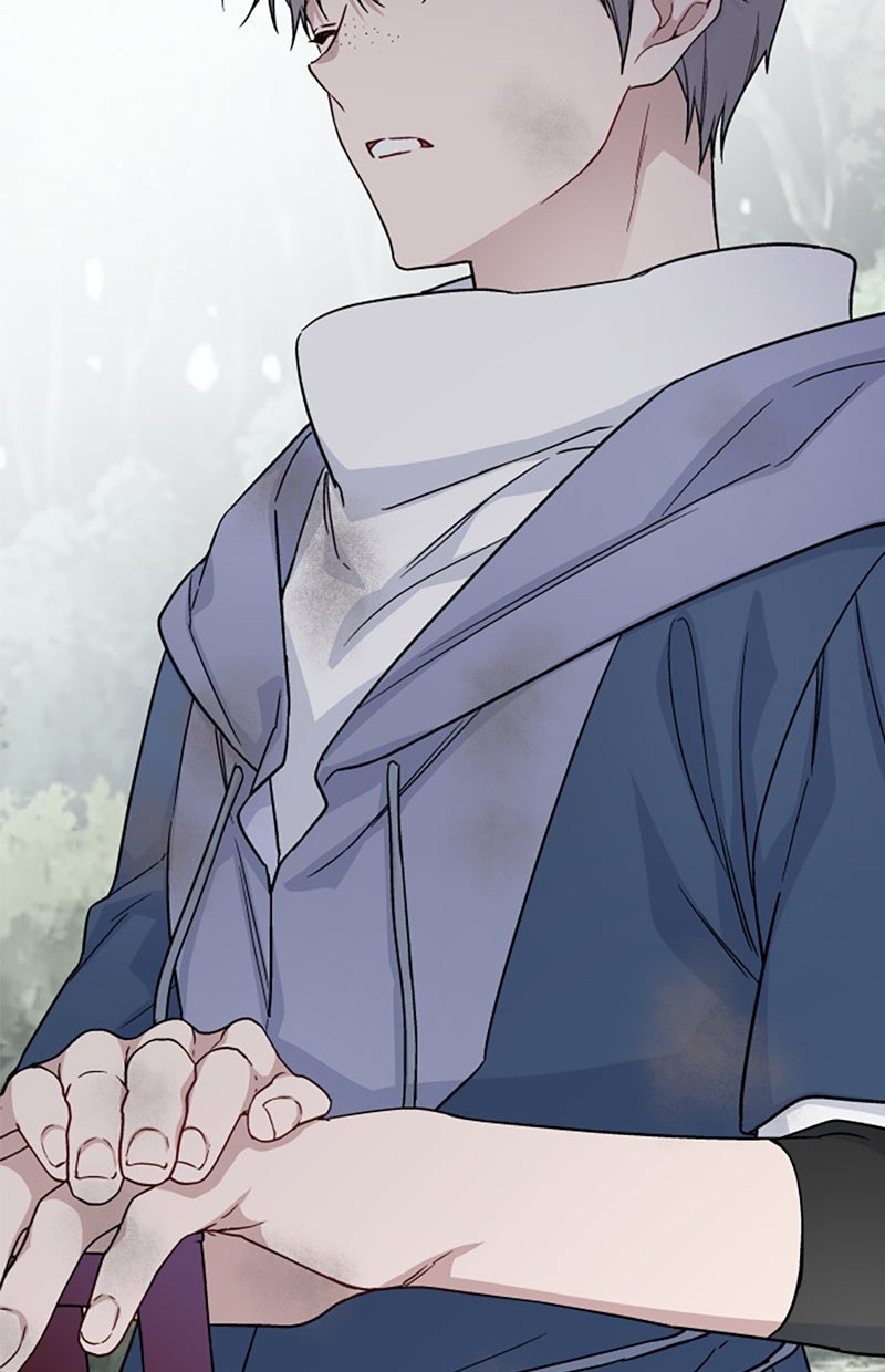 Read From a Knight to a Lady Manga Online