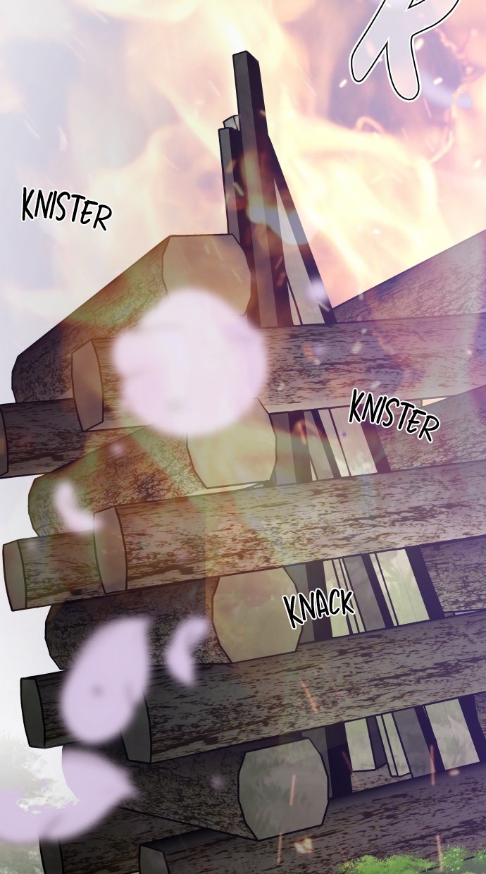 Read From a Knight to a Lady Manga Online