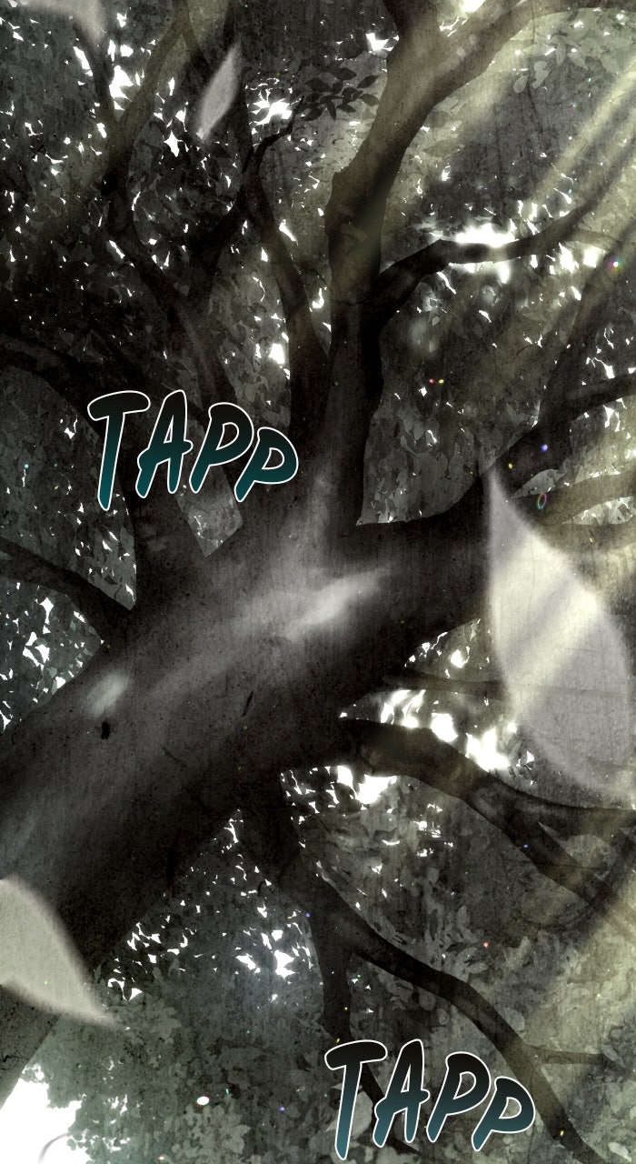 Read HONBUL - Flamme der Seele Manga Online