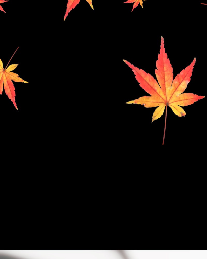 Read I'm the Grim Reaper Manga Online