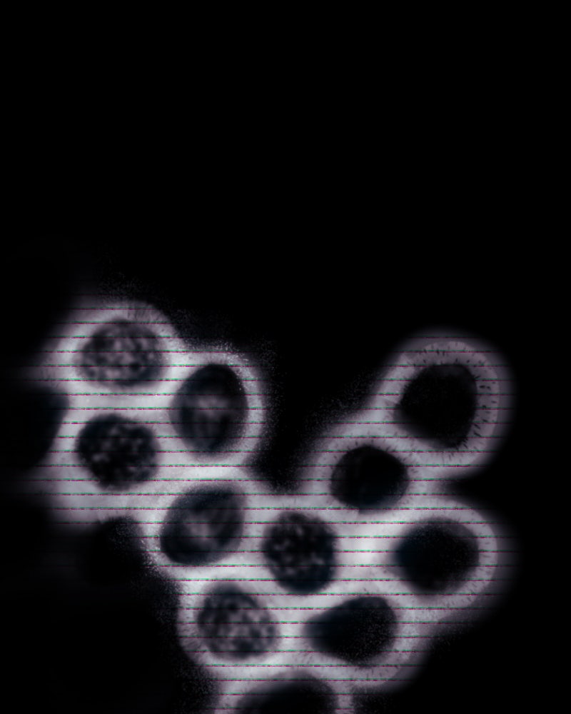 Read I'm the Grim Reaper Manga Online