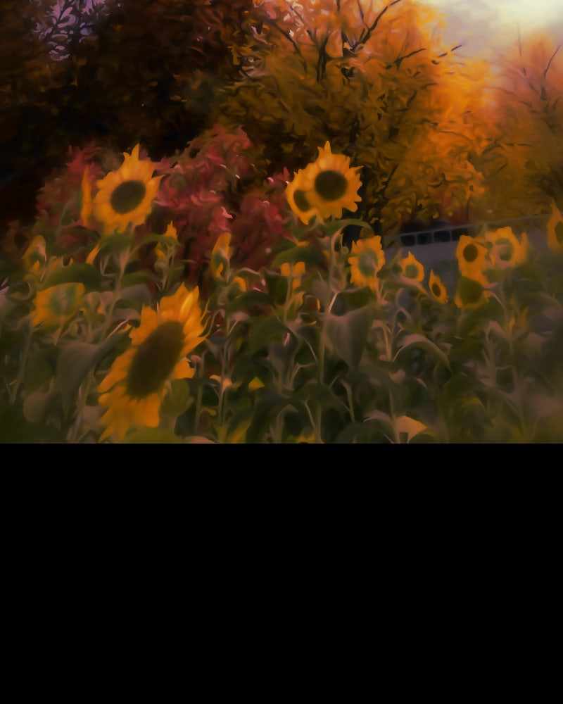 Read I'm the Grim Reaper Manga Online