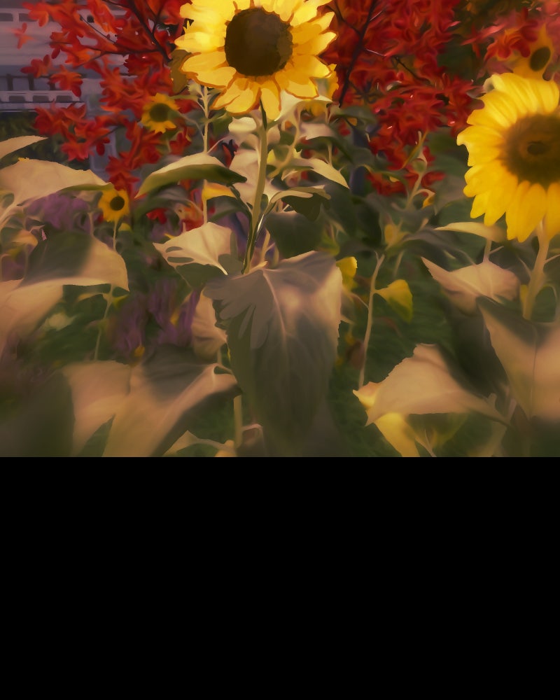 Read I'm the Grim Reaper Manga Online