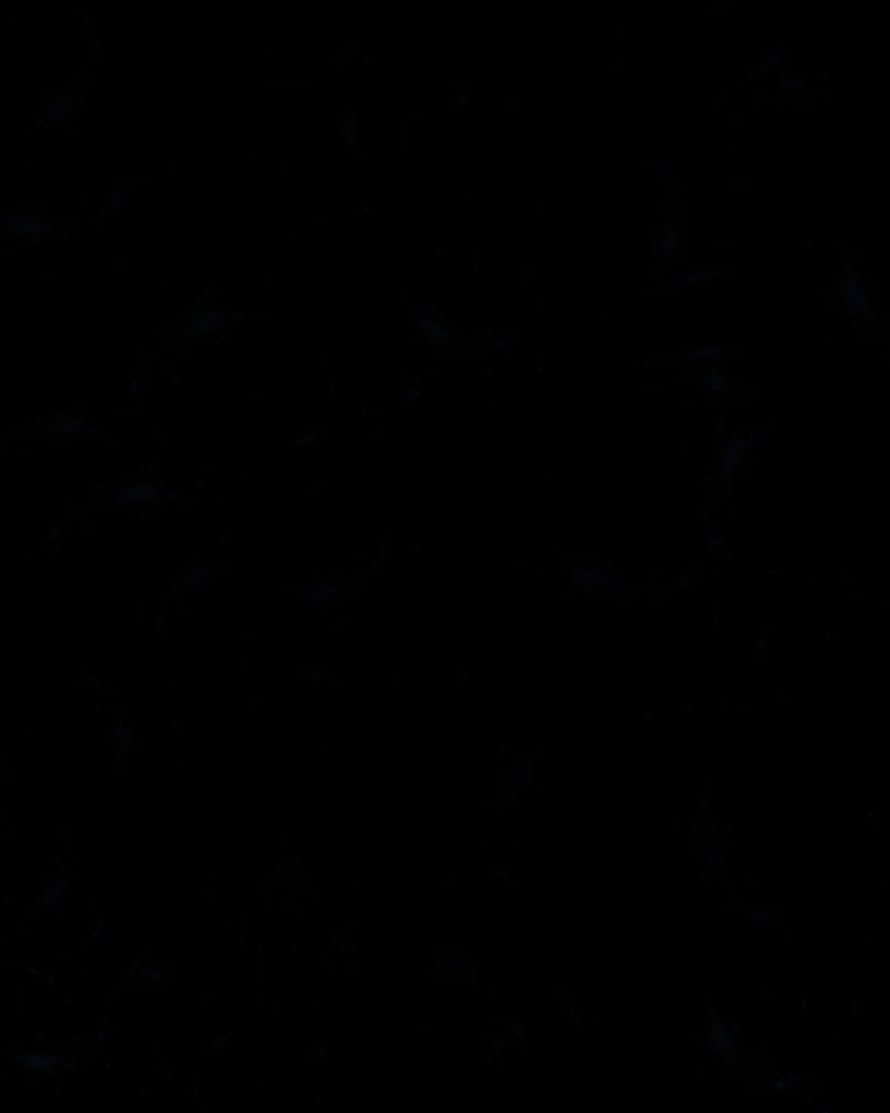 Read I'm the Grim Reaper Manga Online