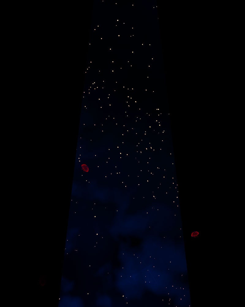 Read I'm the Grim Reaper Manga Online