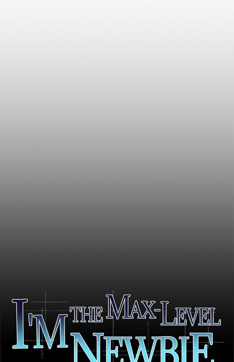 Read I'm the Max - Level Newbie Manga Online