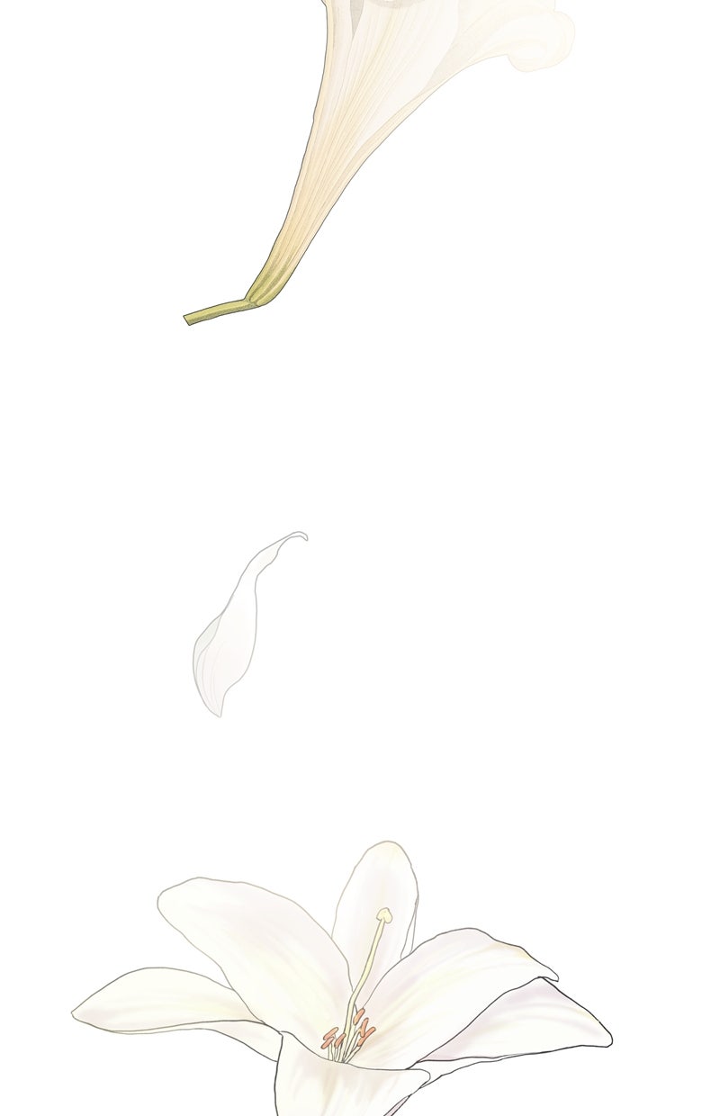 Read I'm the Queen in This Life Manga Online