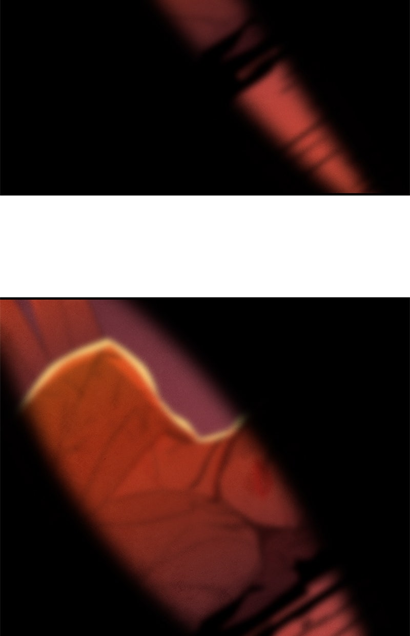 Read It Was All You Manga Online