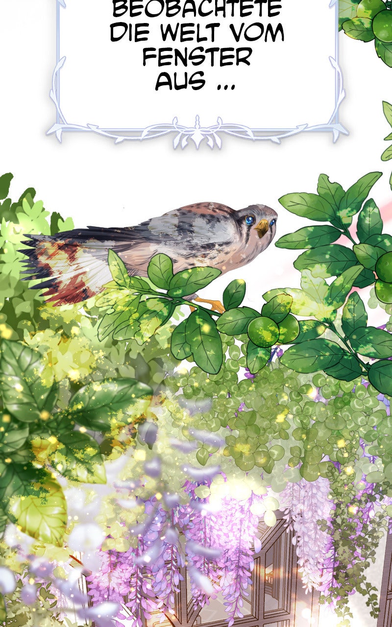 Read KESTREL - Der Vogel im Käfig Manga Online