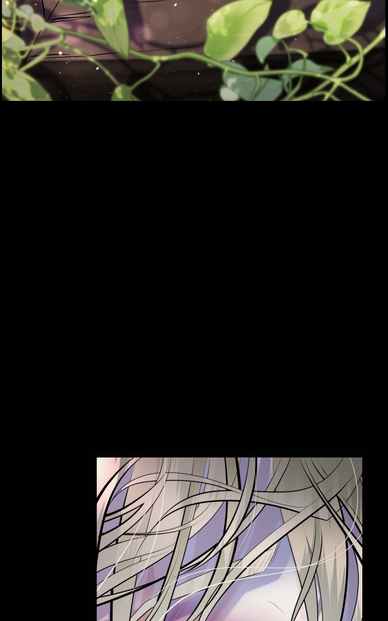 Read KESTREL - Der Vogel im Käfig Manga Online