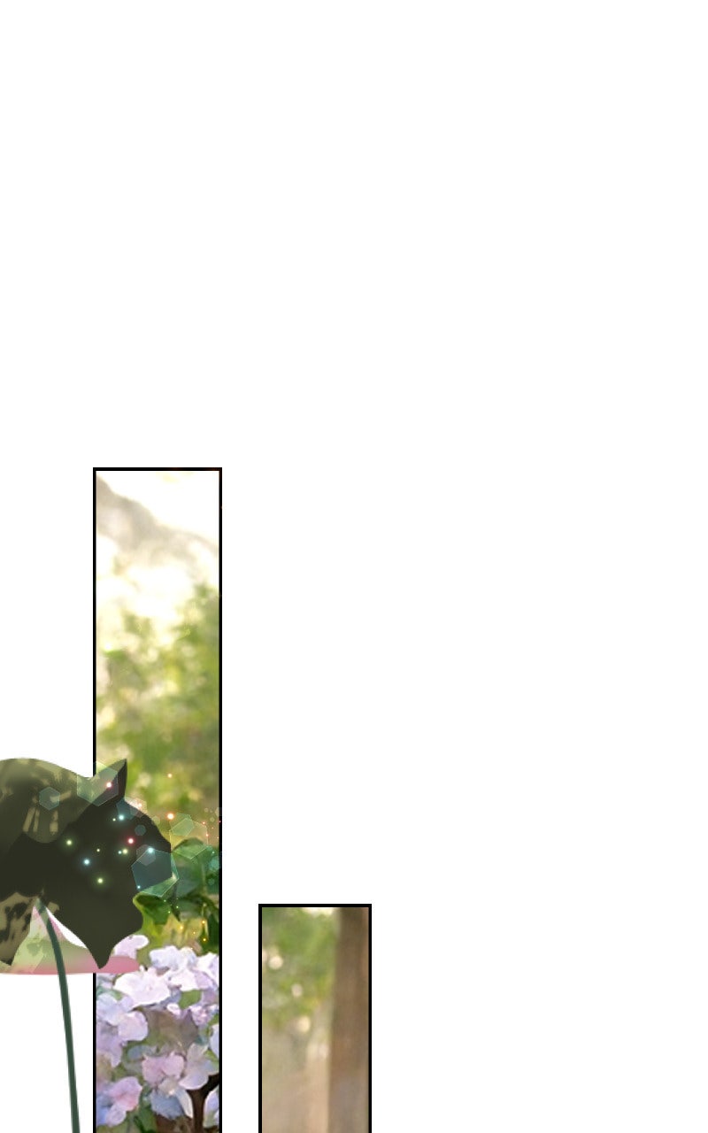 Read KESTREL - Der Vogel im Käfig Manga Online