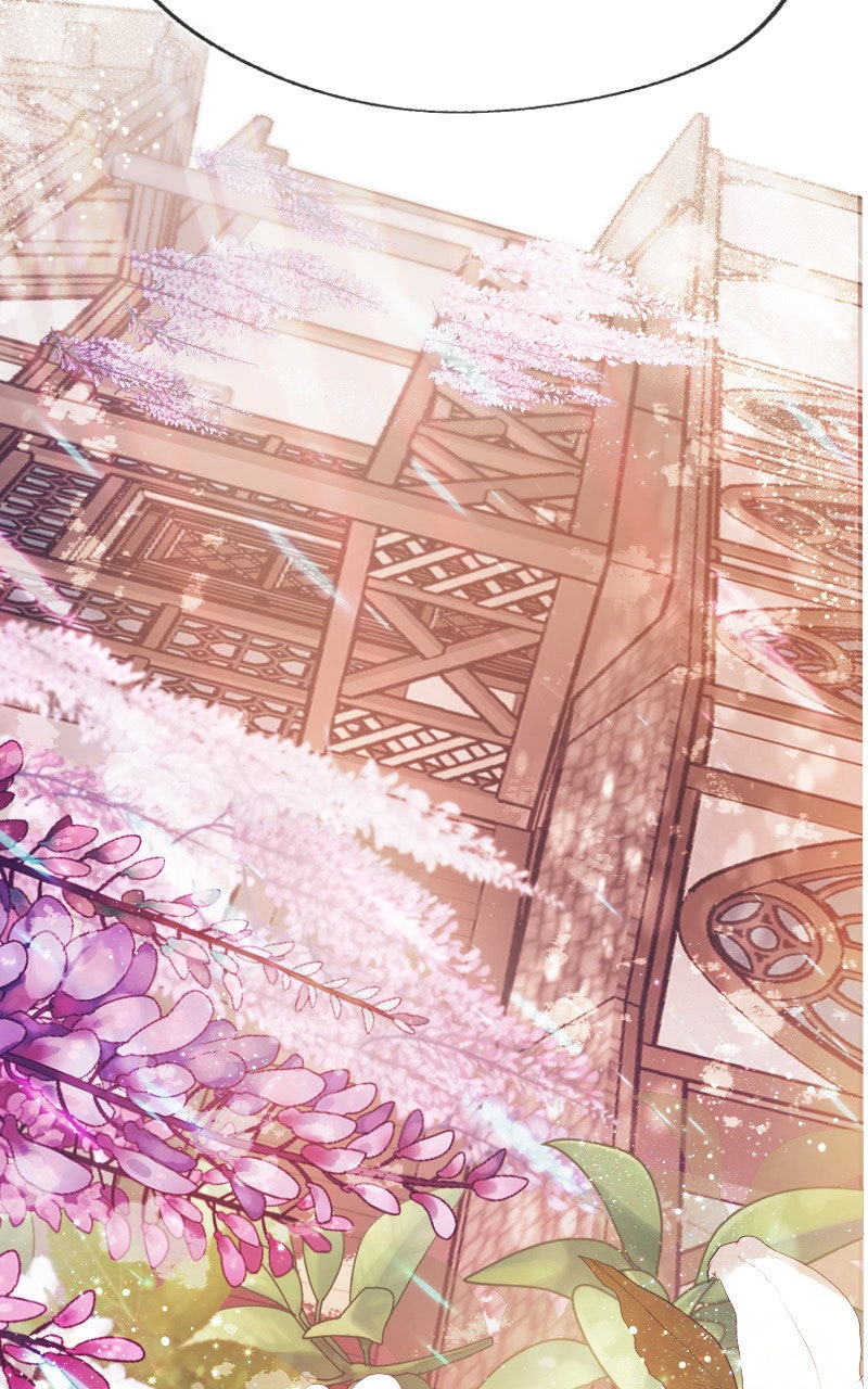 Read KESTREL - Der Vogel im Käfig Manga Online