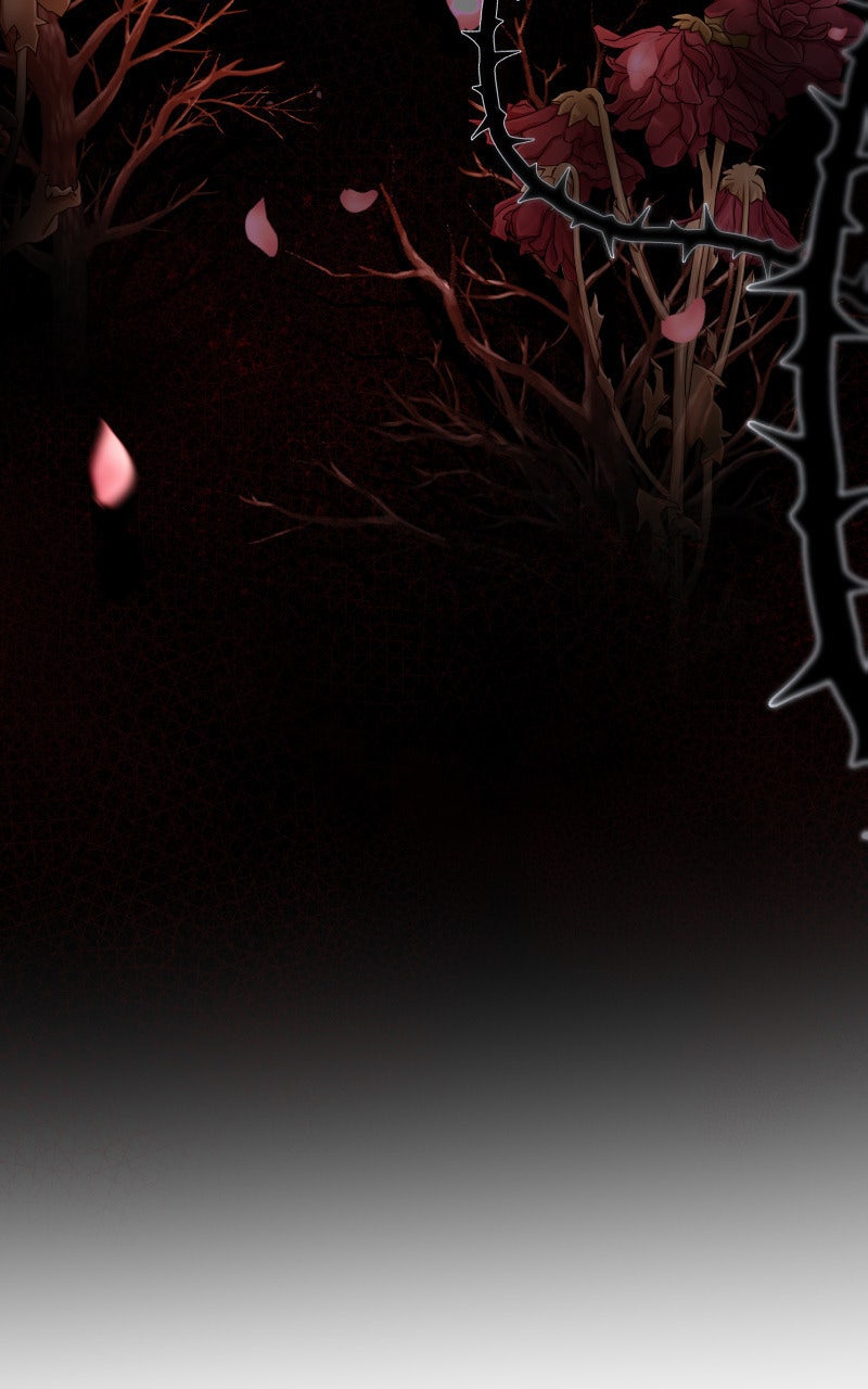 Read KESTREL - Der Vogel im Käfig Manga Online