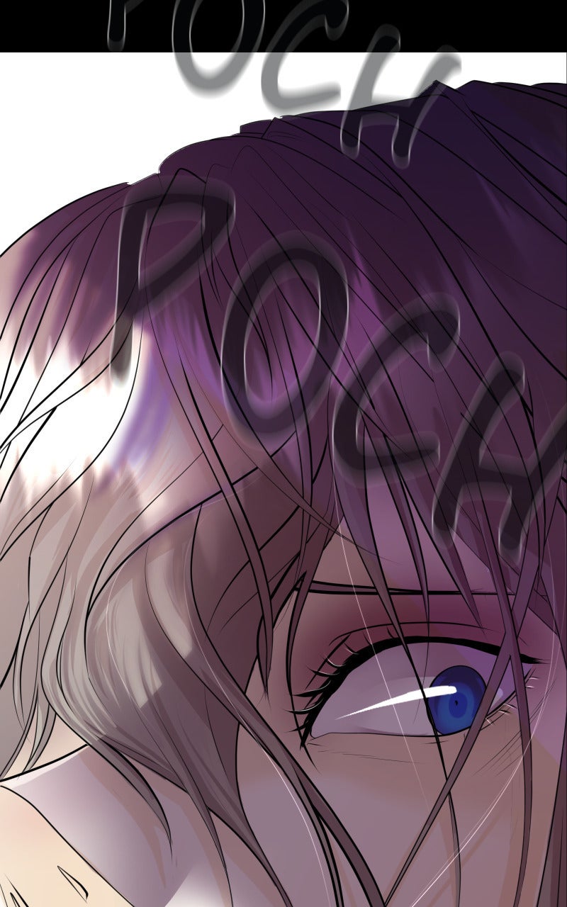 Read KESTREL - Der Vogel im Käfig Manga Online