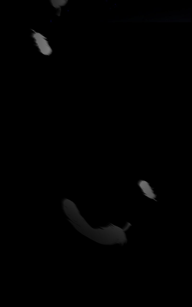 Read KESTREL - Der Vogel im Käfig Manga Online