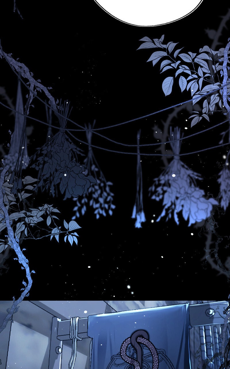 Read KESTREL - Der Vogel im Käfig Manga Online