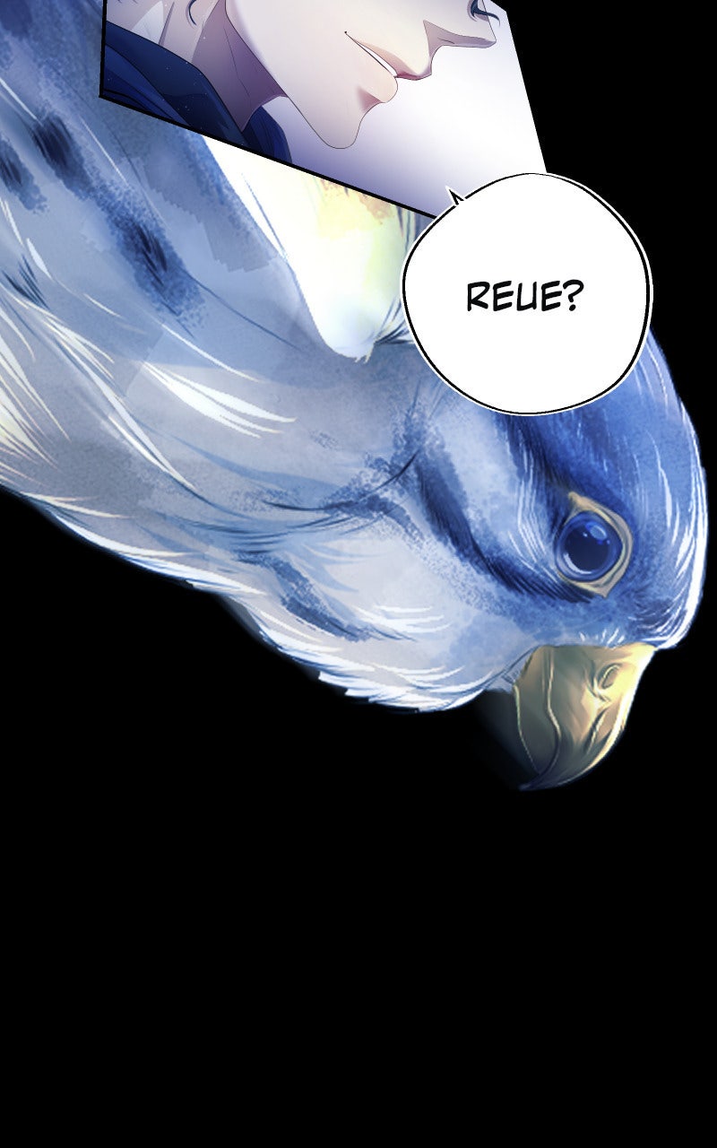 Read KESTREL - Der Vogel im Käfig Manga Online