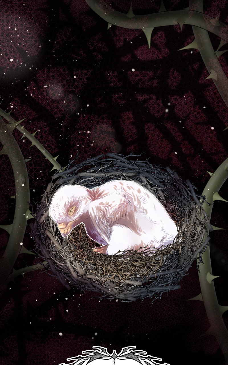 Read KESTREL - Der Vogel im Käfig Manga Online