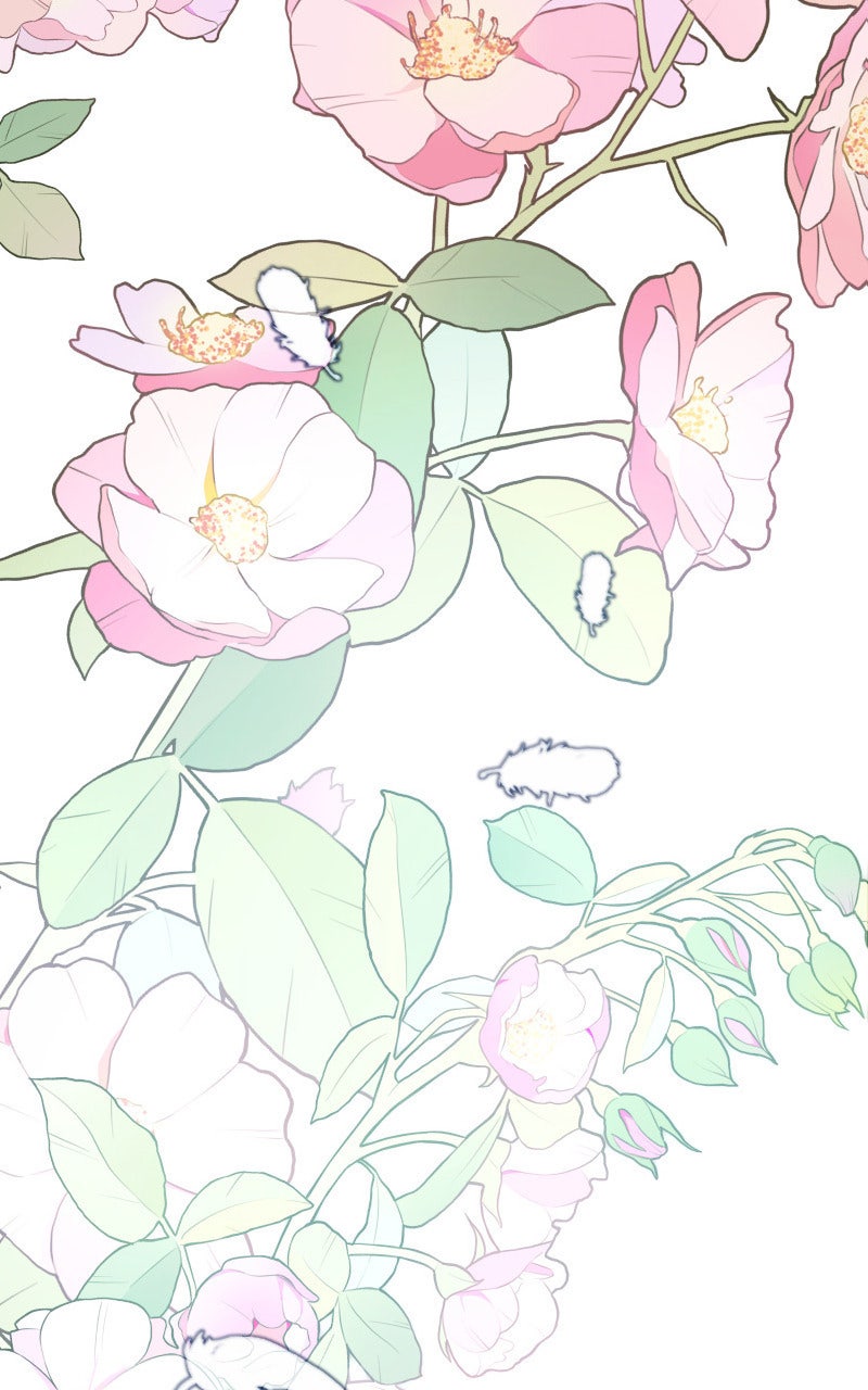 Read KESTREL - Der Vogel im Käfig Manga Online