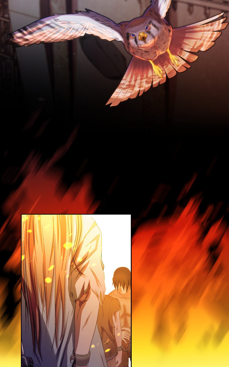 Read KESTREL - Der Vogel im Käfig Manga Online