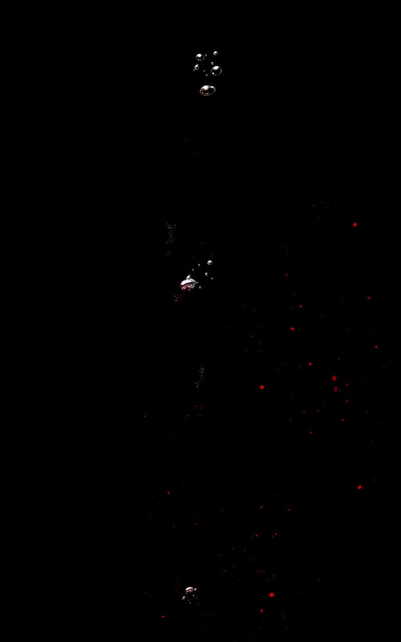 Read KESTREL - Der Vogel im Käfig Manga Online