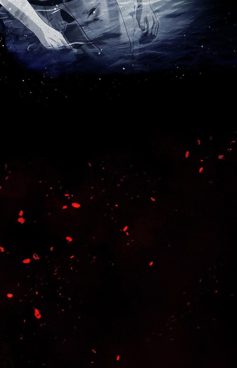 Read KESTREL - Der Vogel im Käfig Manga Online