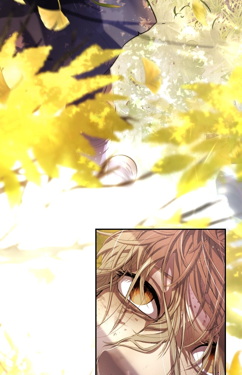 Read KESTREL - Der Vogel im Käfig Manga Online