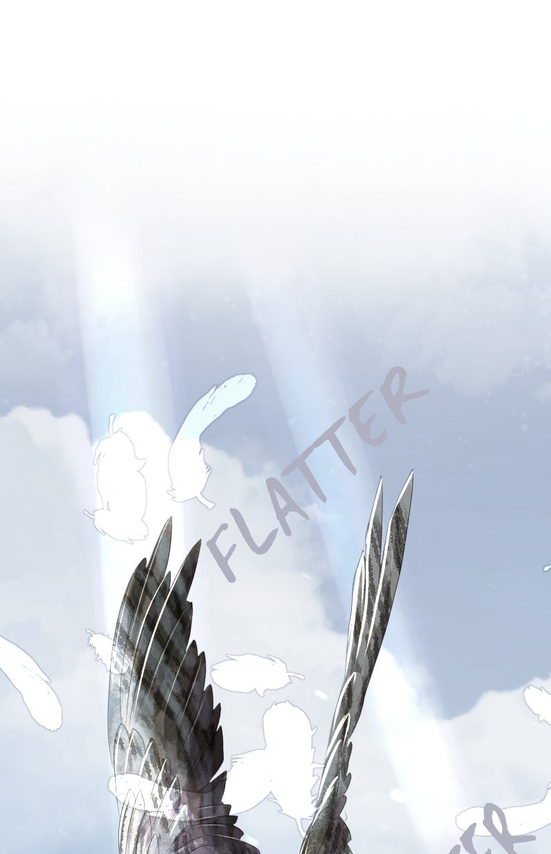 Read KESTREL - Der Vogel im Käfig Manga Online