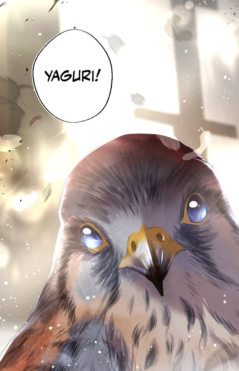 Read KESTREL - Der Vogel im Käfig Manga Online