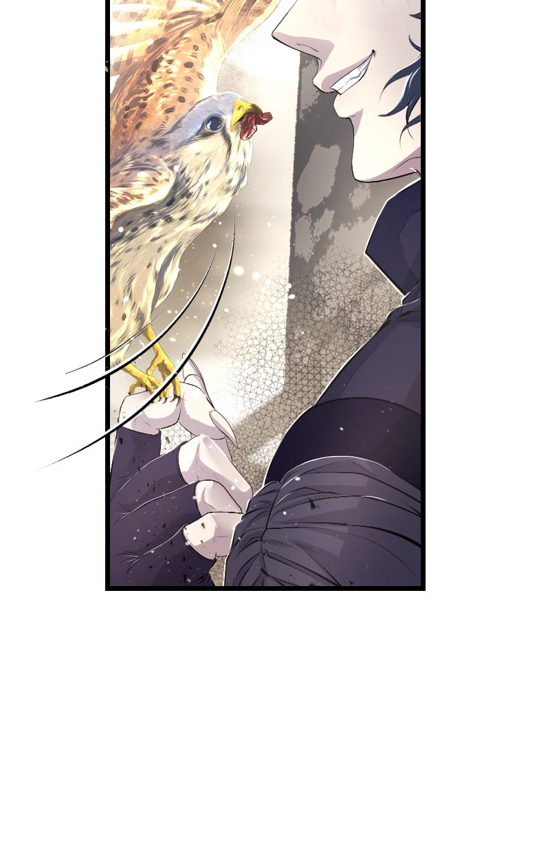 Read KESTREL - Der Vogel im Käfig Manga Online