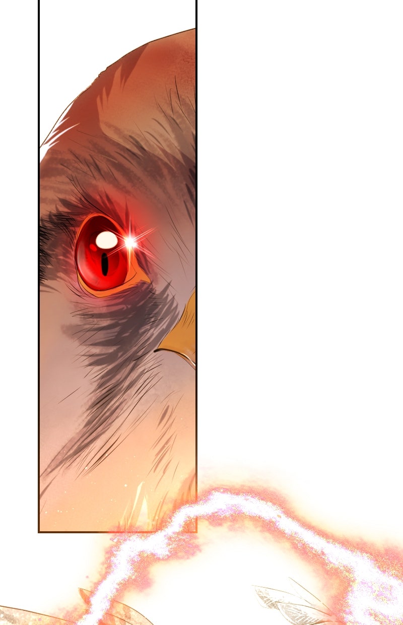 Read KESTREL - Der Vogel im Käfig Manga Online