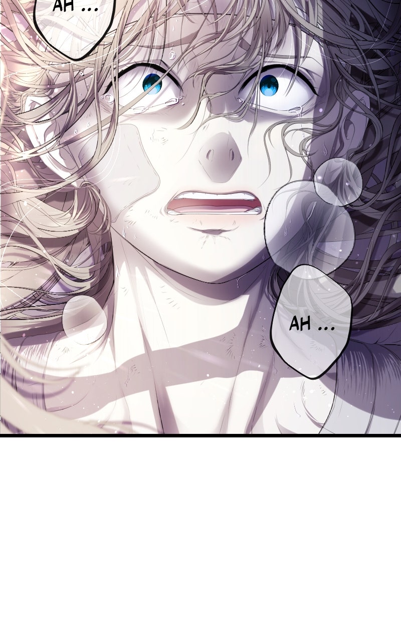 Read KESTREL - Der Vogel im Käfig Manga Online