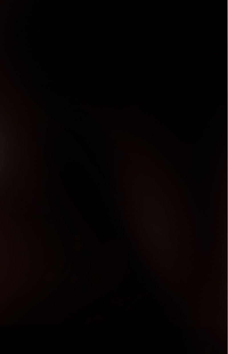 Read KESTREL - Der Vogel im Käfig Manga Online