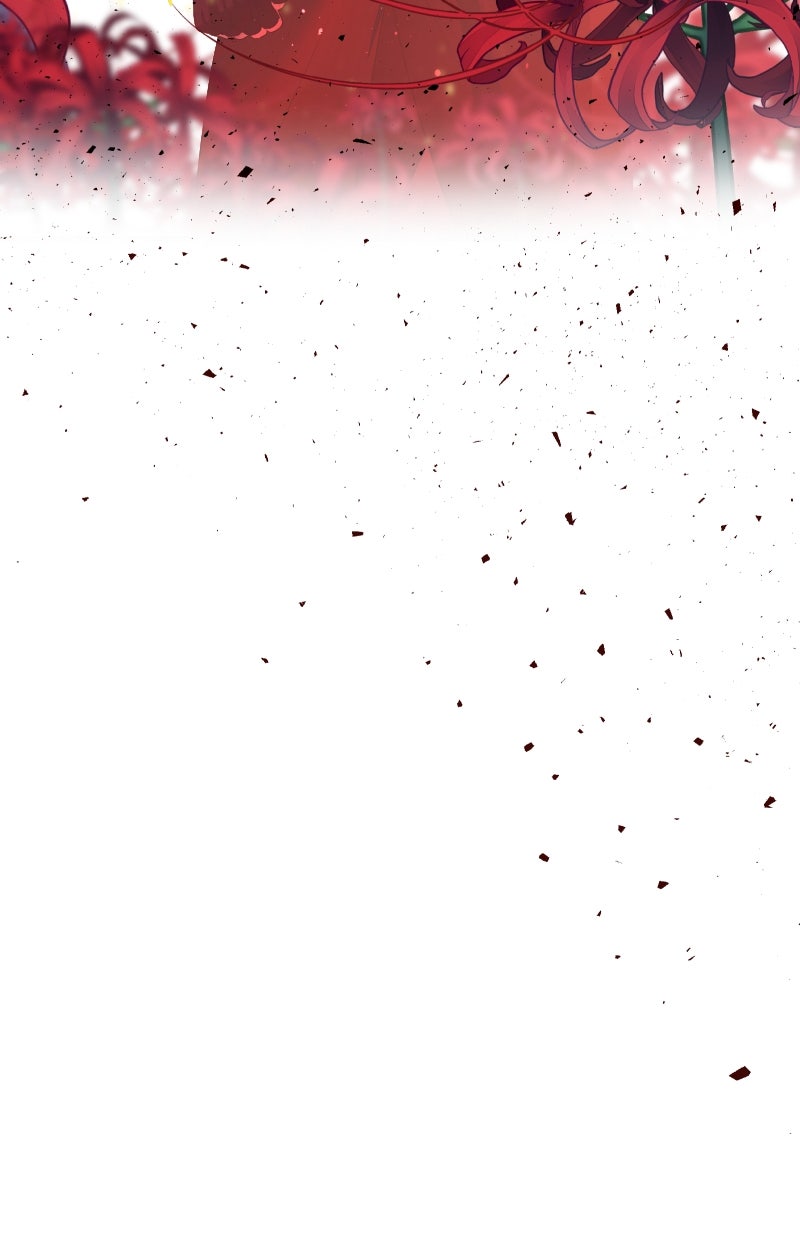 Read KESTREL - Der Vogel im Käfig Manga Online