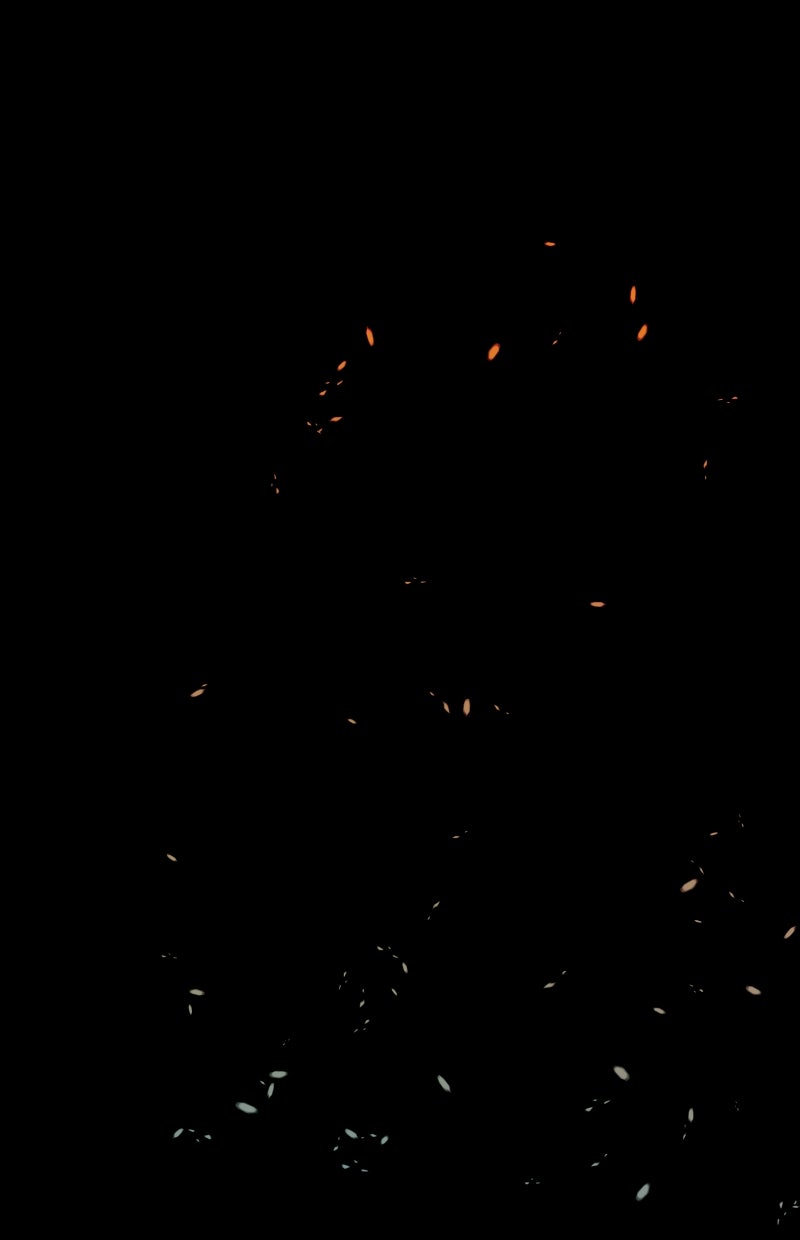 Read KESTREL - Der Vogel im Käfig Manga Online